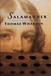 Book cover of Salamander